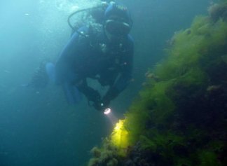 История исследования Черного моря