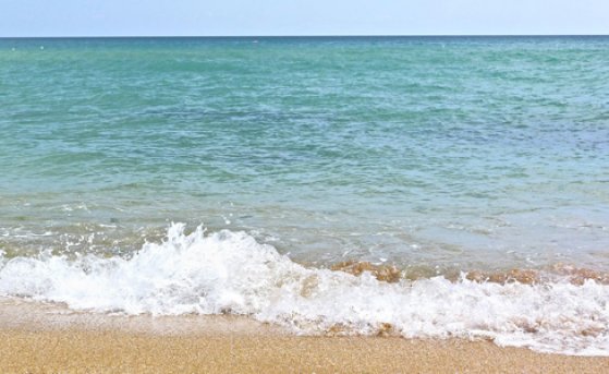 Главные причины отправиться на отдых к Черному морю