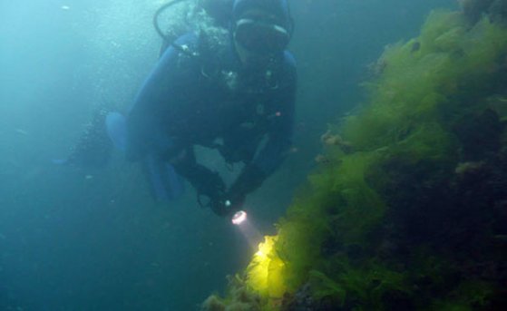 История исследования Черного моря