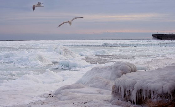 Польза зимнего отдыха на черноморском побережье