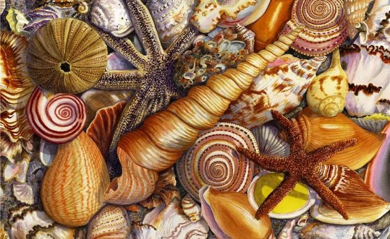 Какие сувениры привезти после отдыха на Черном море?