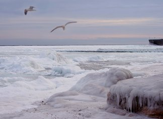 Польза зимнего отдыха на черноморском побережье