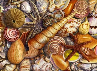 Какие сувениры привезти после отдыха на Черном море?